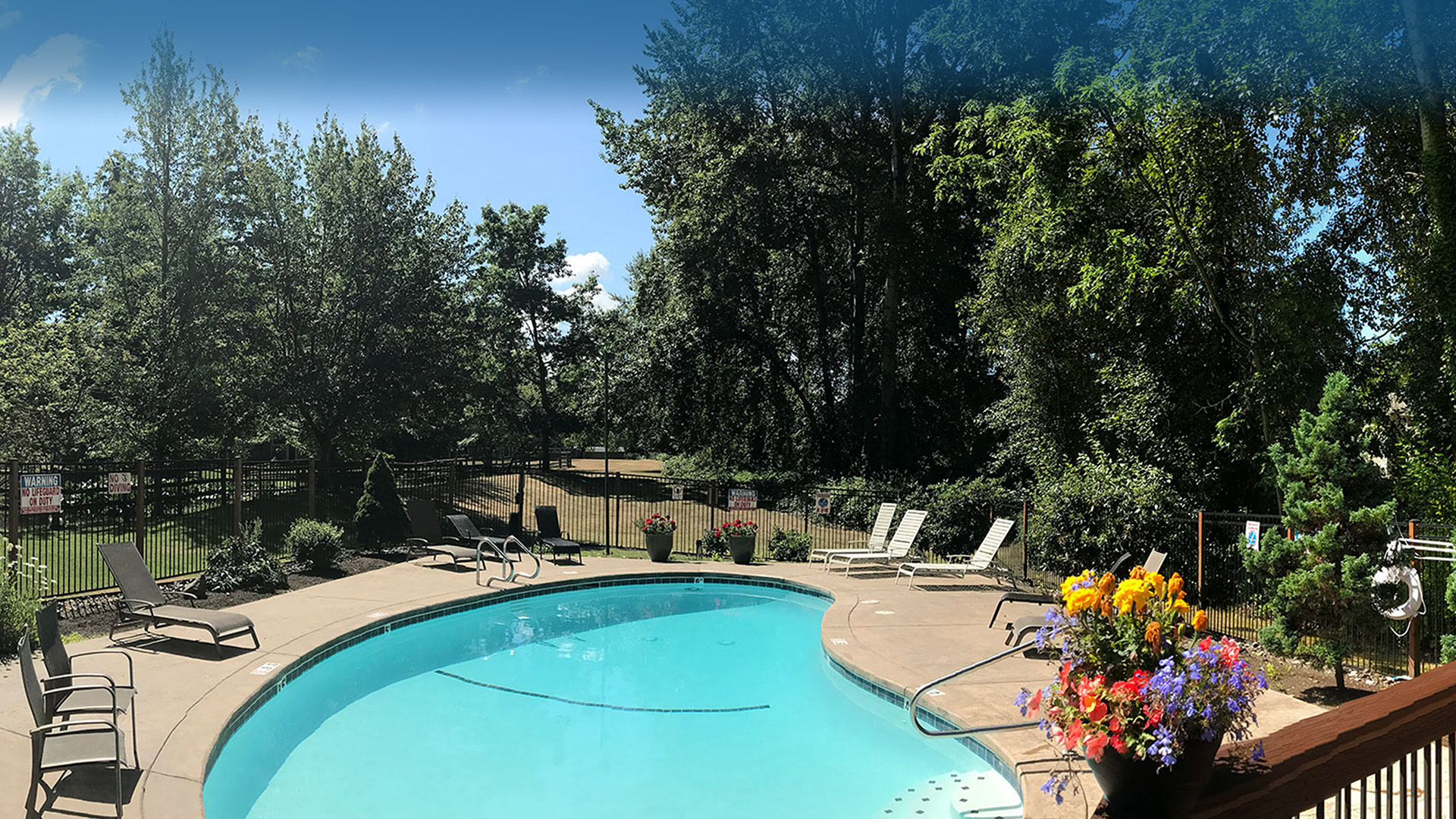 Pinewood Village Apartments Apartment living in Bellevue, WA