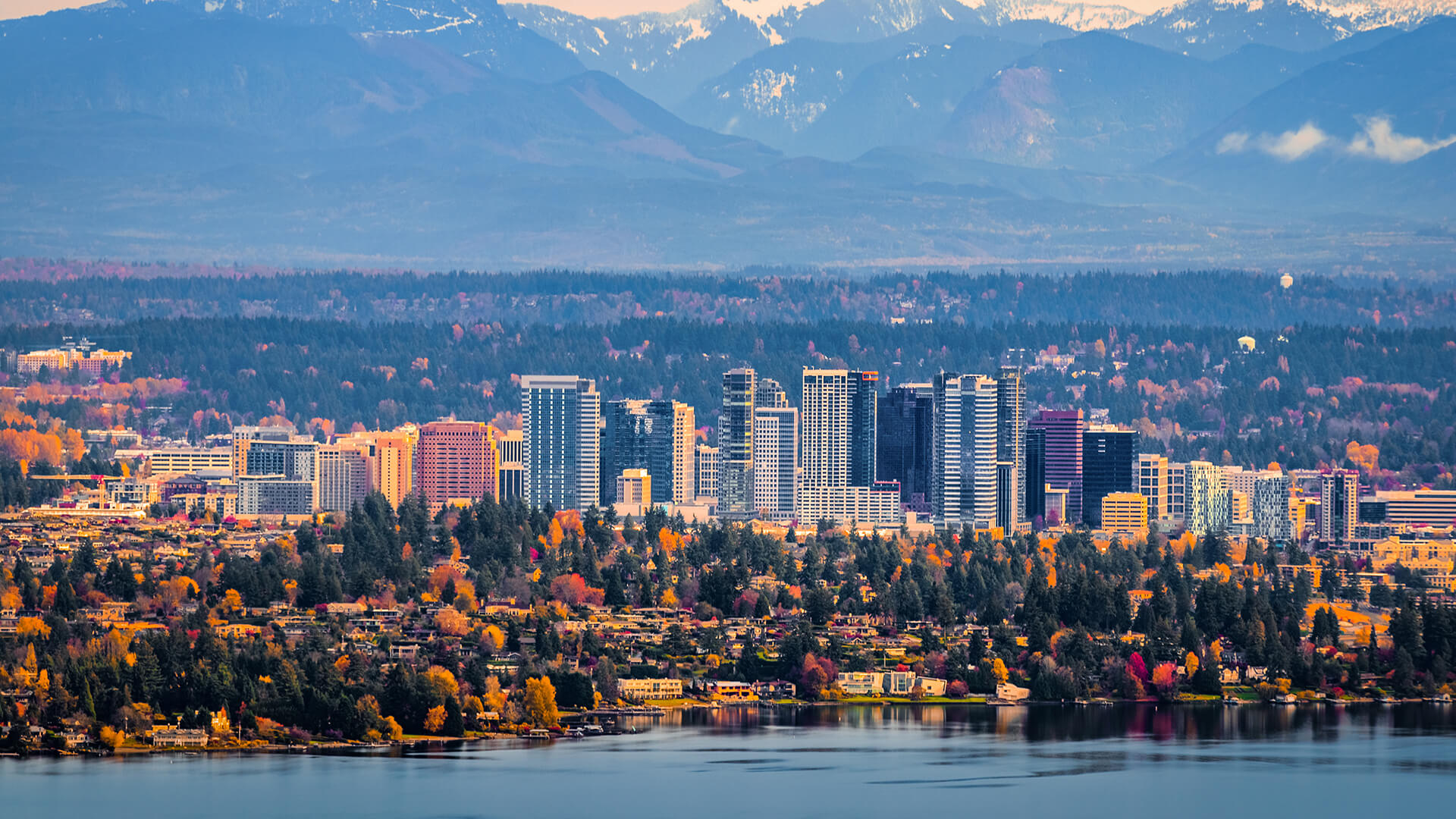 Pinewood Village Apartments Apartment living in Bellevue, WA